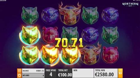 dr bet sports review
